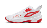 Genetics "White for all time red" 379974 04