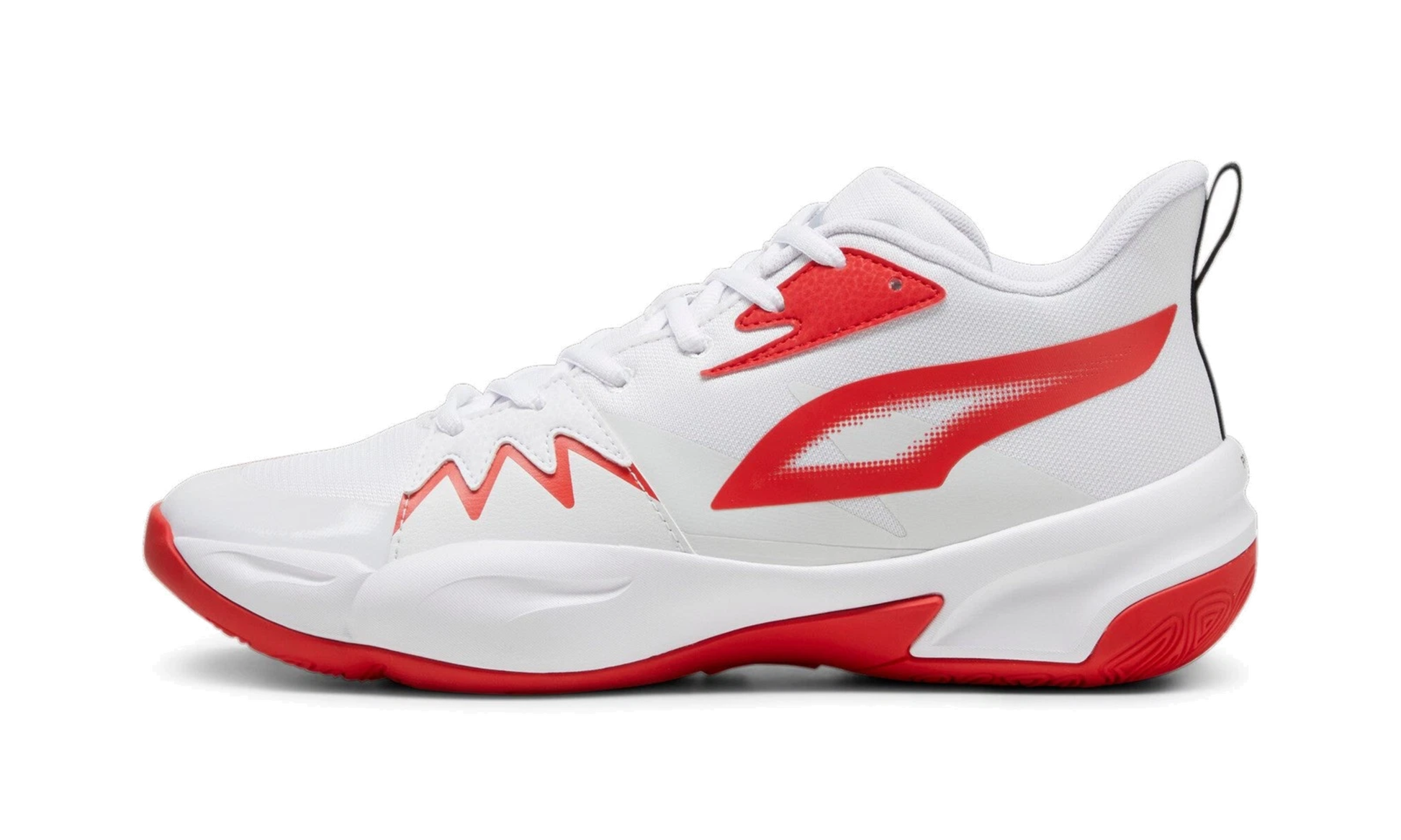 Genetics "White for all time red" 379974 04