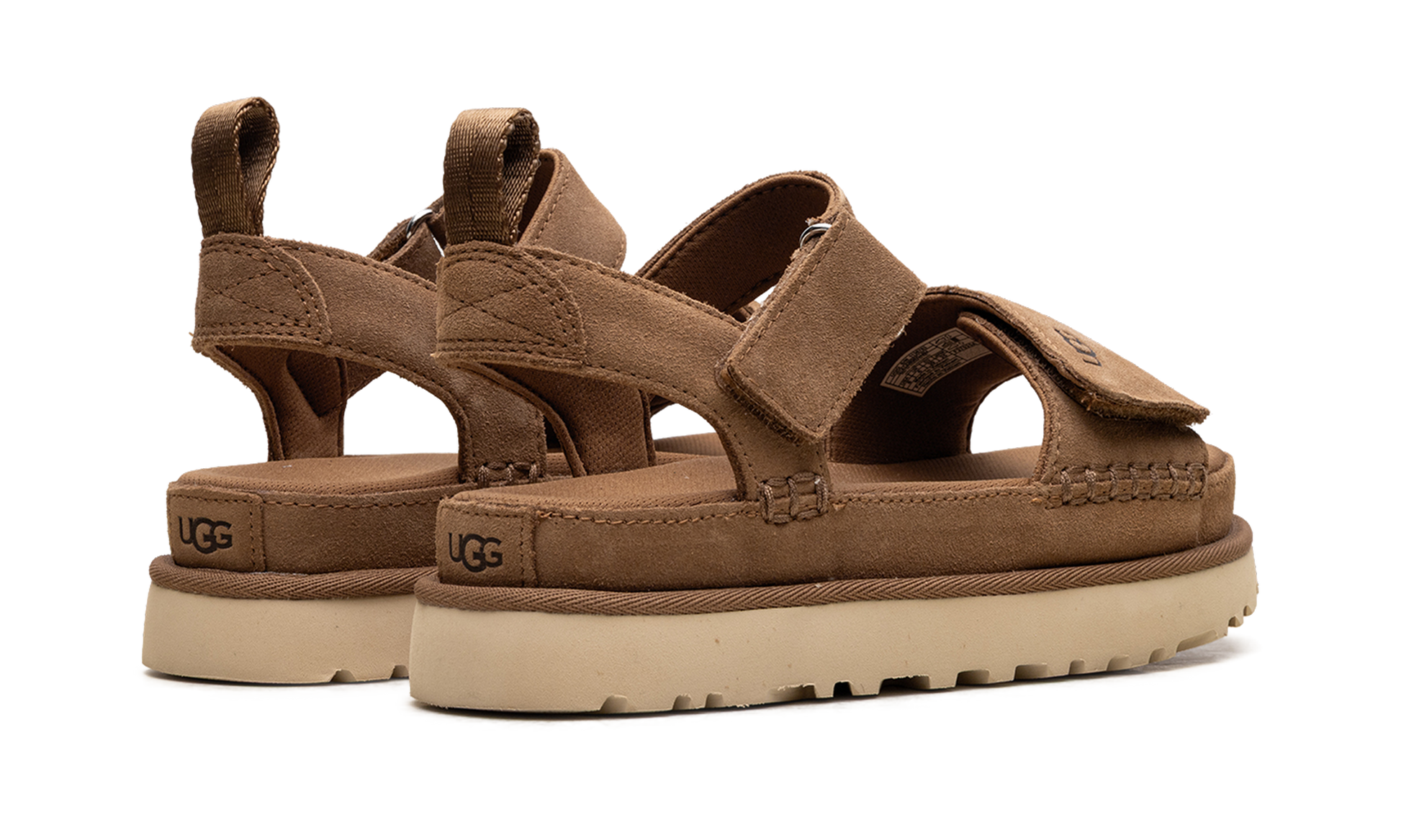 Goldenstar "Chestnut" 1136783