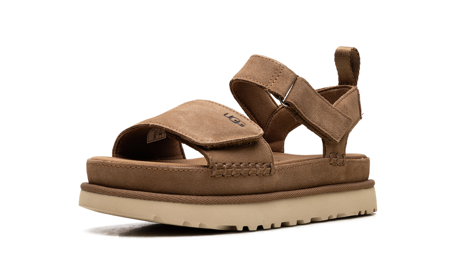 Goldenstar "Chestnut" 1136783