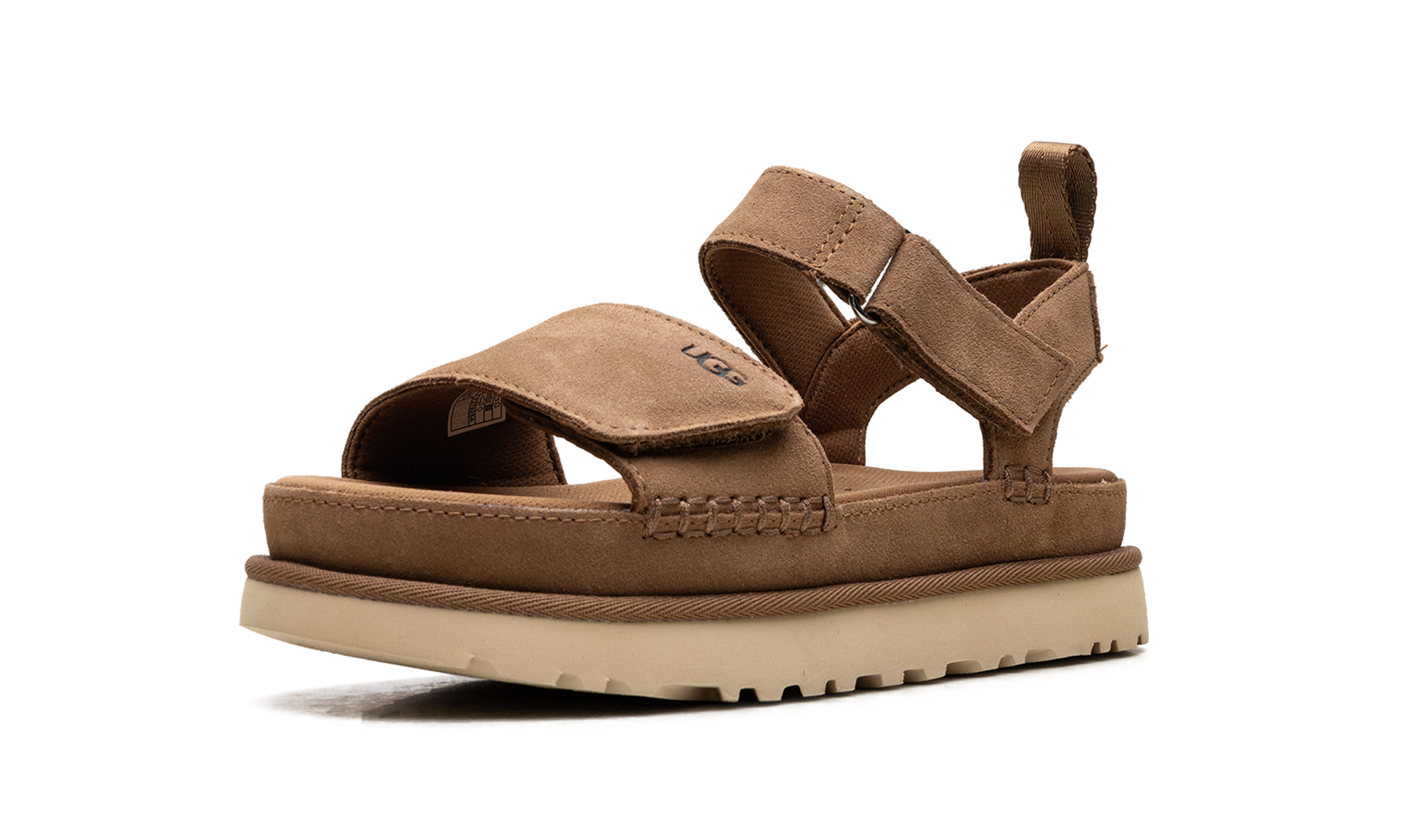 Goldenstar "Chestnut" 1136783