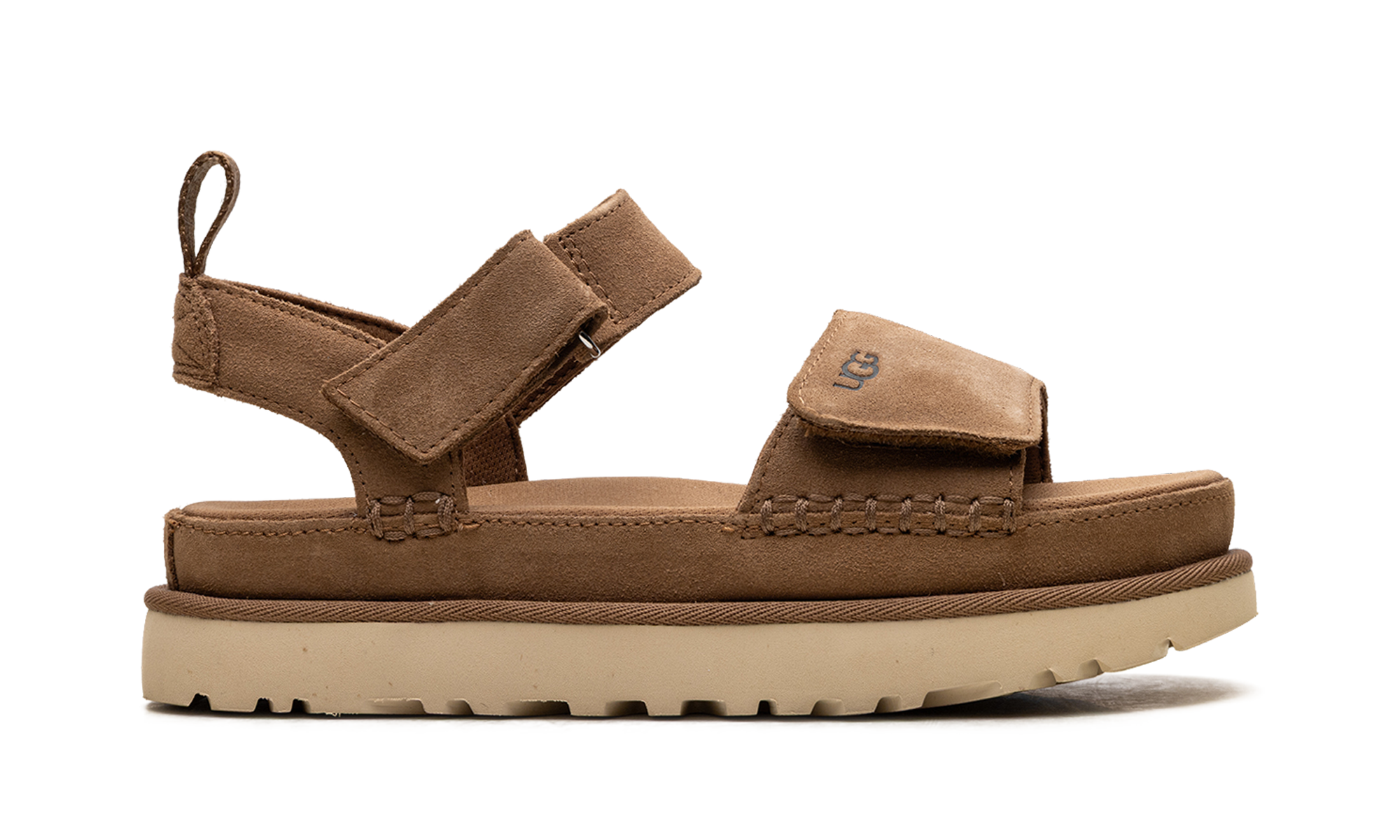 Goldenstar "Chestnut" 1136783