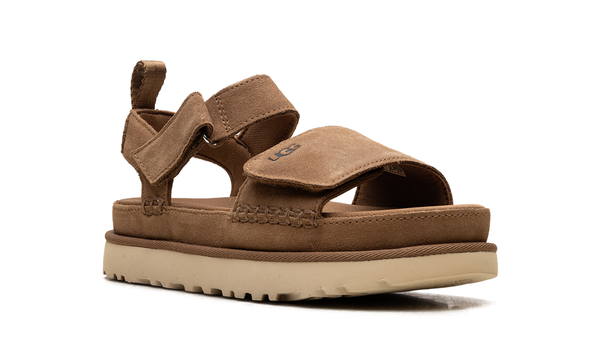 Goldenstar "Chestnut" 1136783