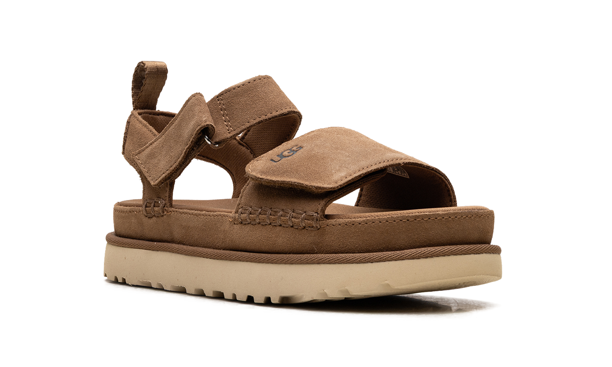 Goldenstar "Chestnut" 1136783