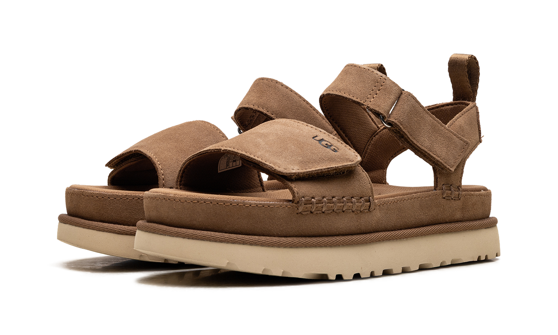 Goldenstar "Chestnut" 1136783