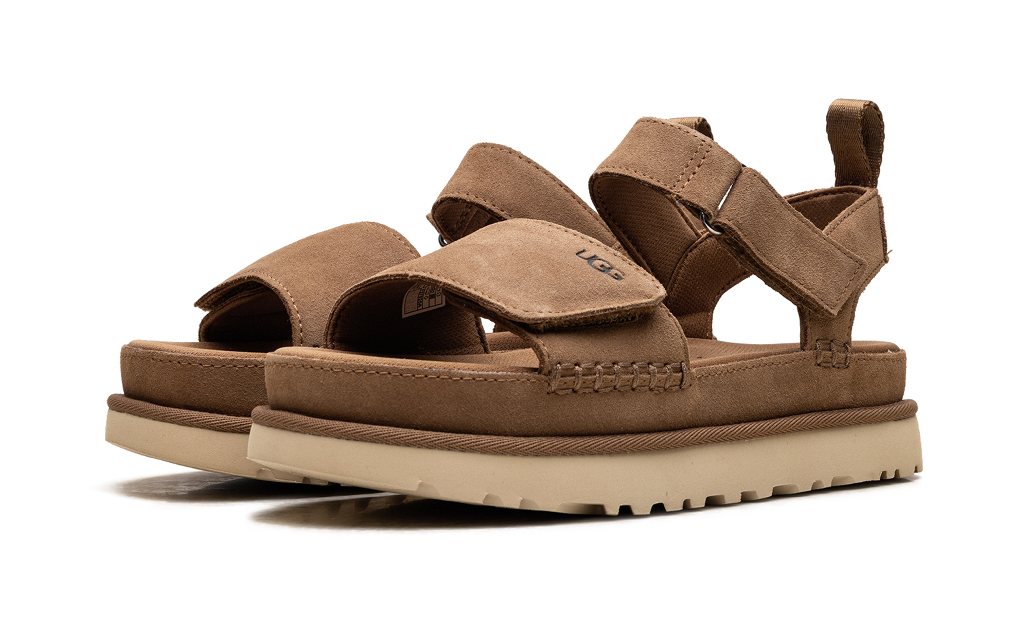 Goldenstar "Chestnut" 1136783