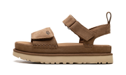 Goldenstar "Chestnut" 1136783