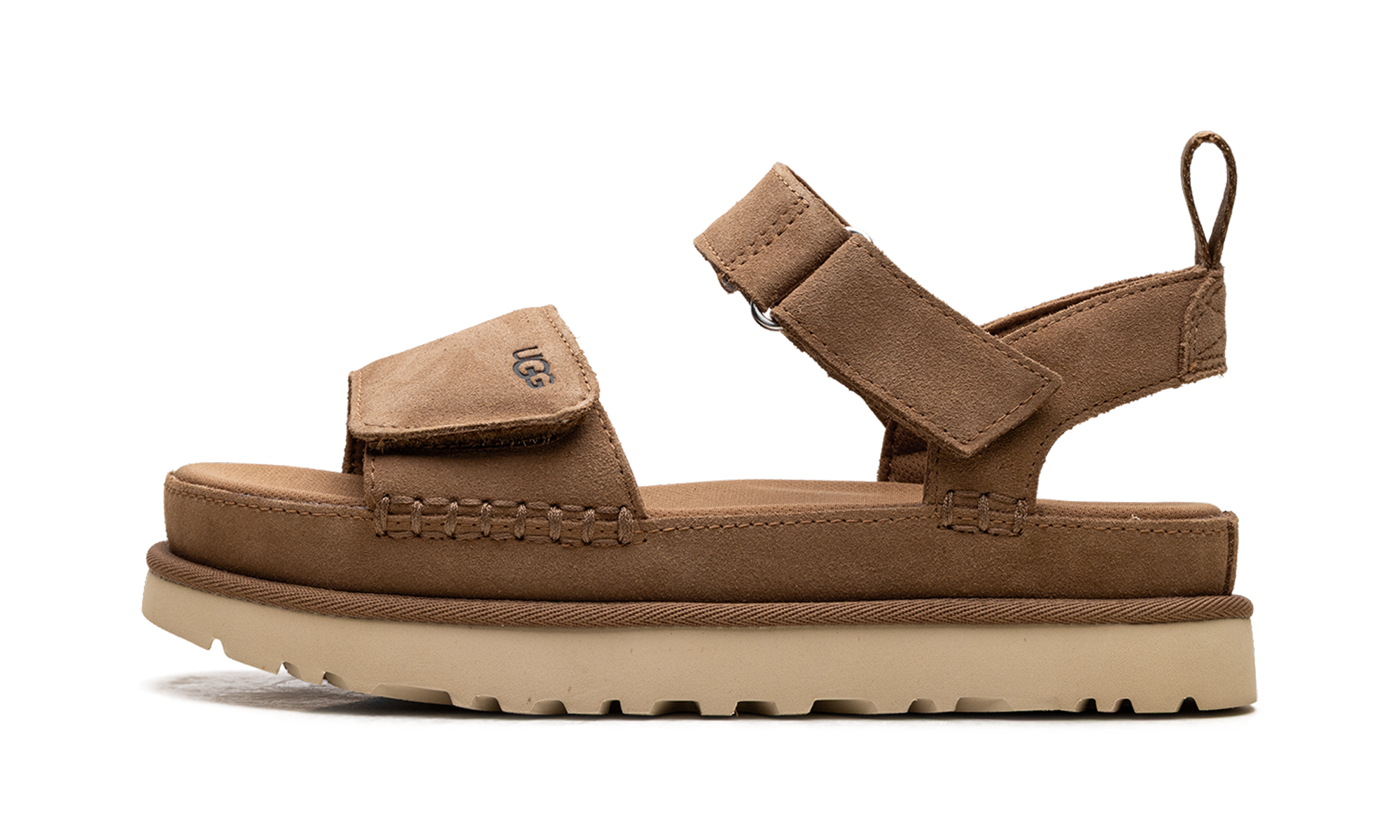 Goldenstar "Chestnut" 1136783