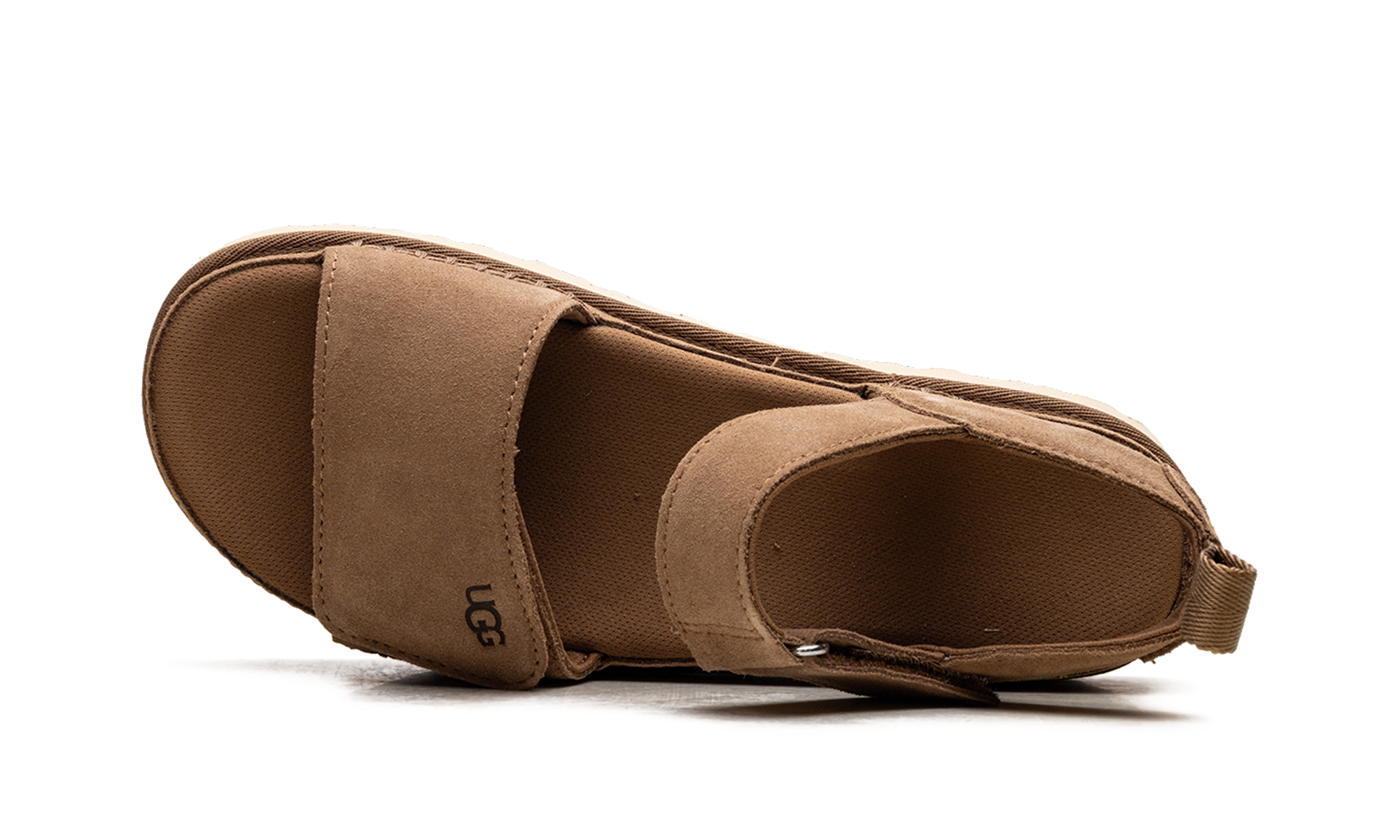 Goldenstar "Chestnut" 1136783