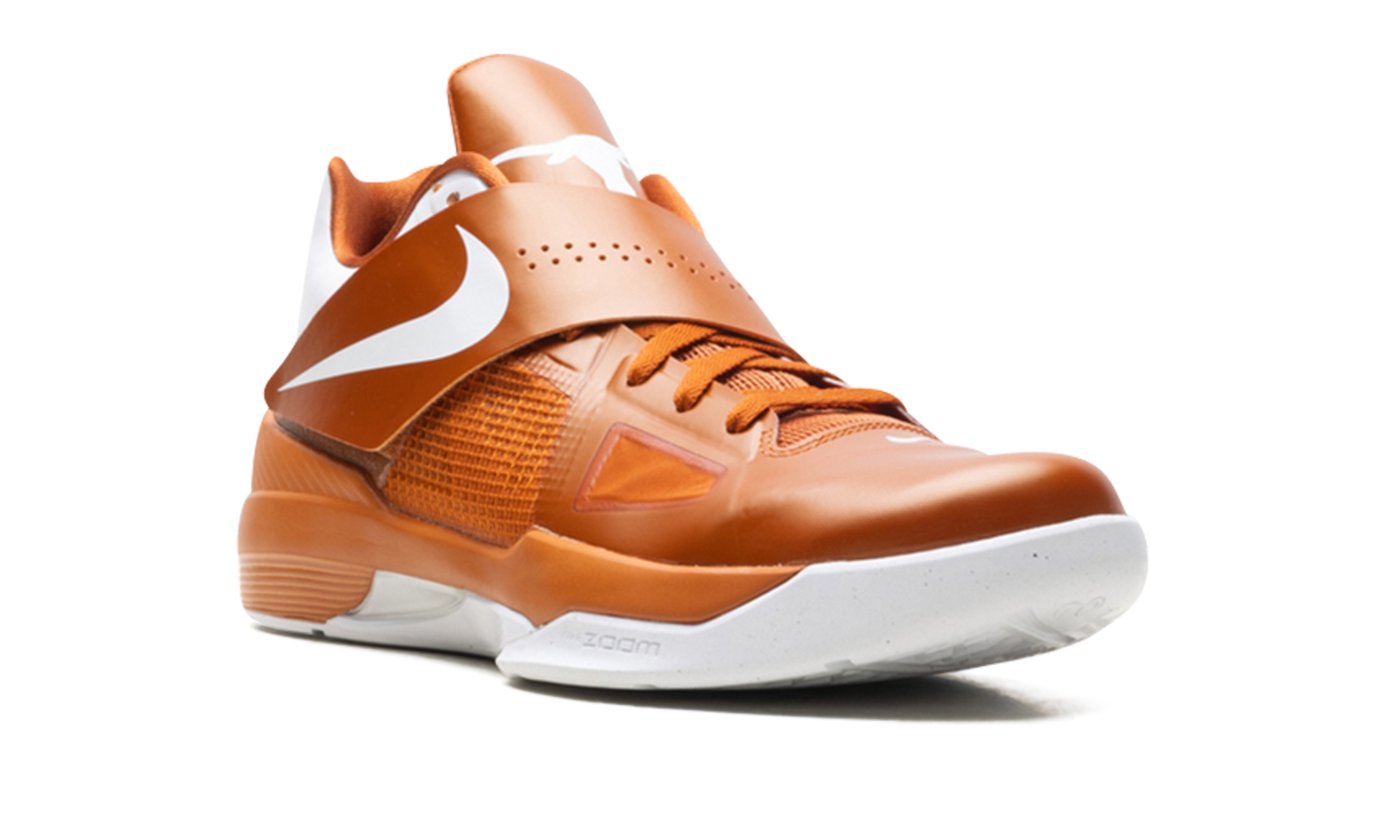 Kd 4 "Texas longhorns" IB3555 800