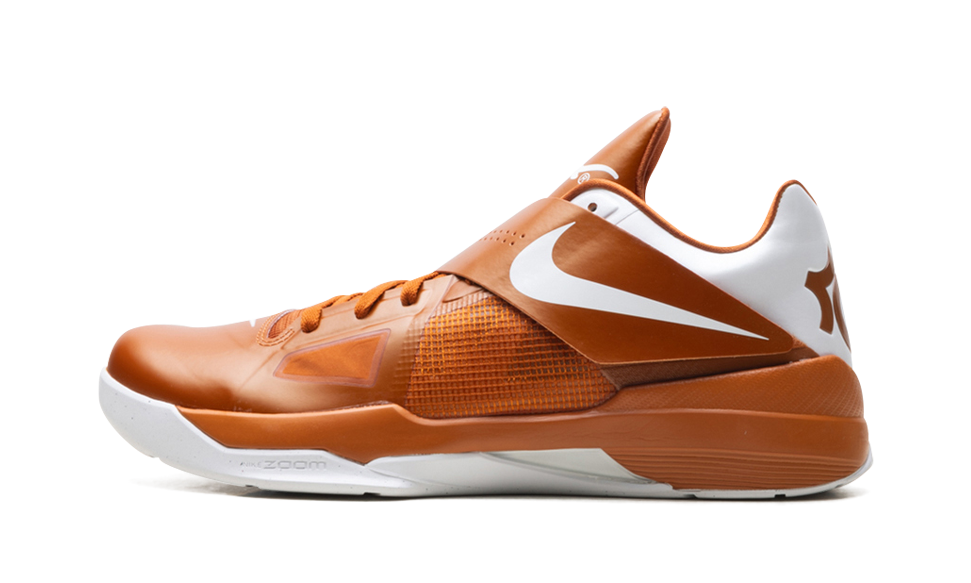 Kd 4 "Texas longhorns" IB3555 800
