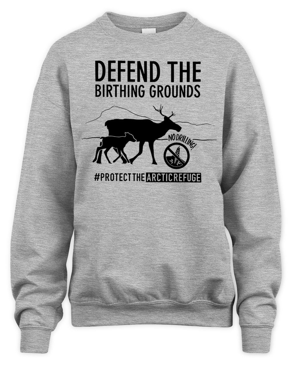Native Movement Merch Defend The Birthing Grounds Shirt