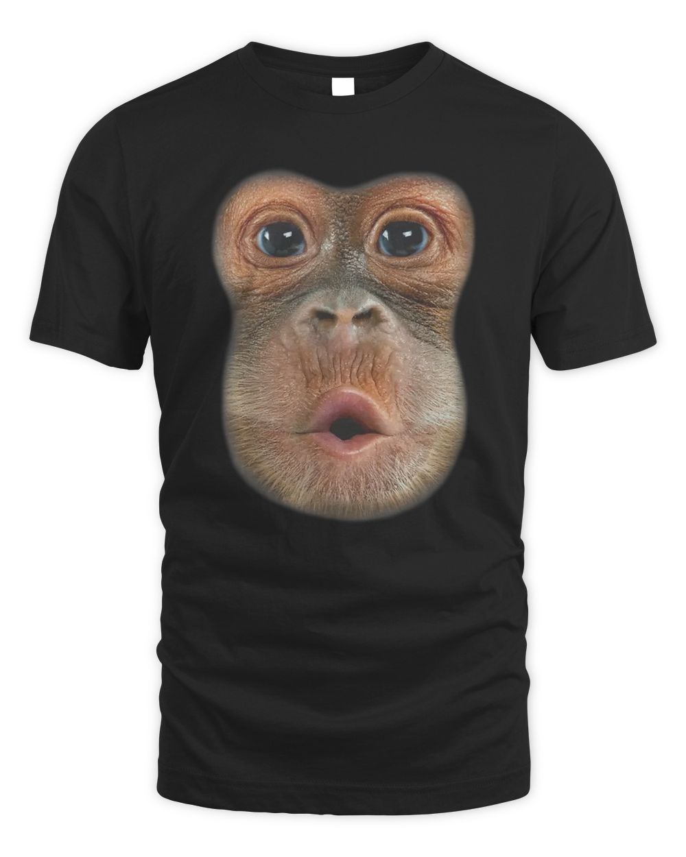 Orangutan Grabs Man Shirt