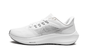 Pegasus 39 "Grey fog" DH4071 100