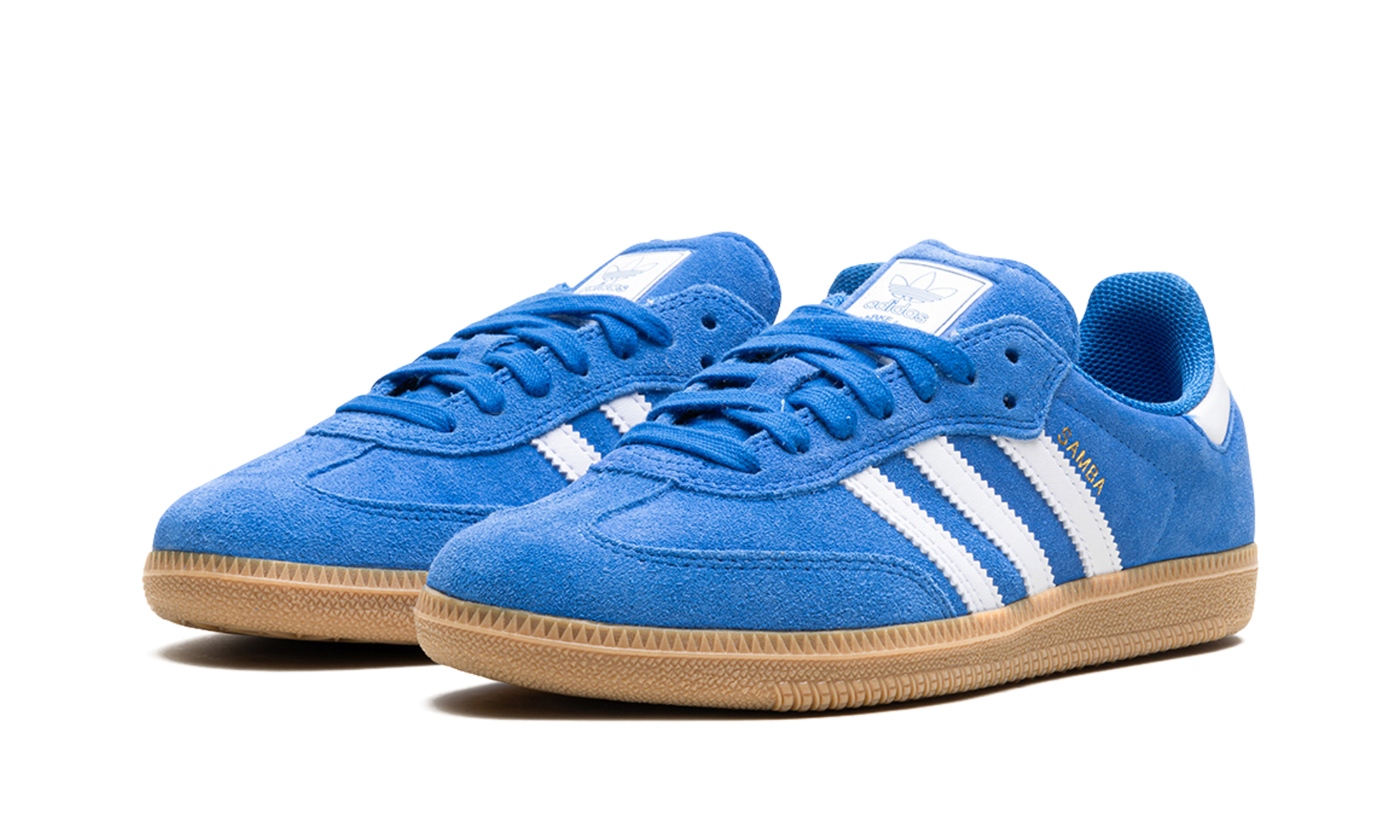Samba ADV "Blue bird" JP5719