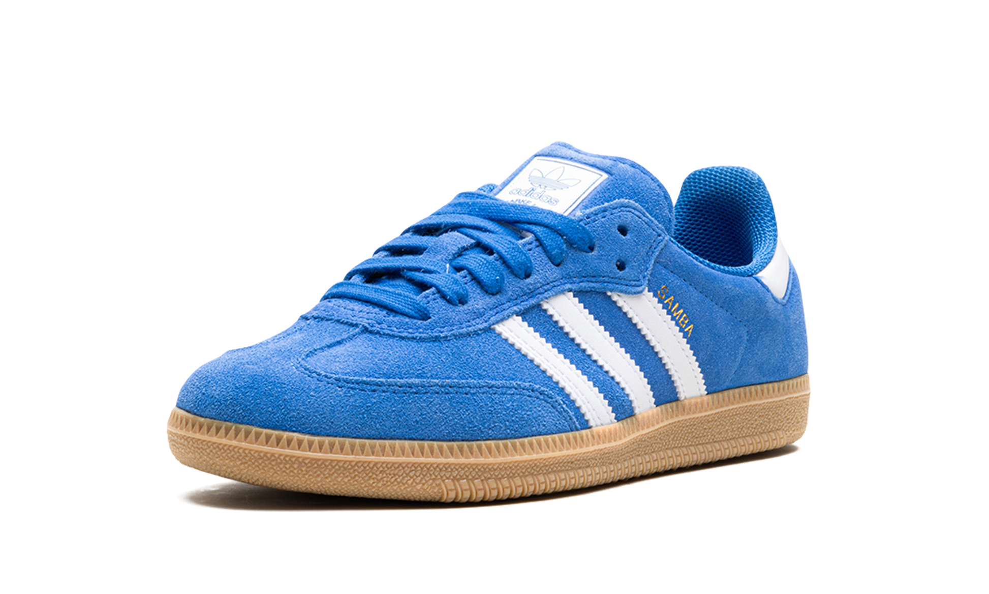 Samba ADV "Blue bird" JP5719