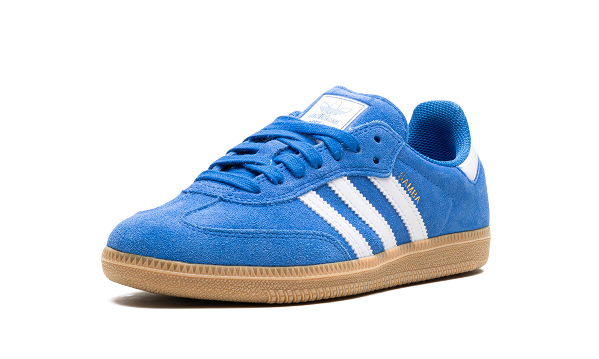 Samba ADV "Blue bird" JP5719