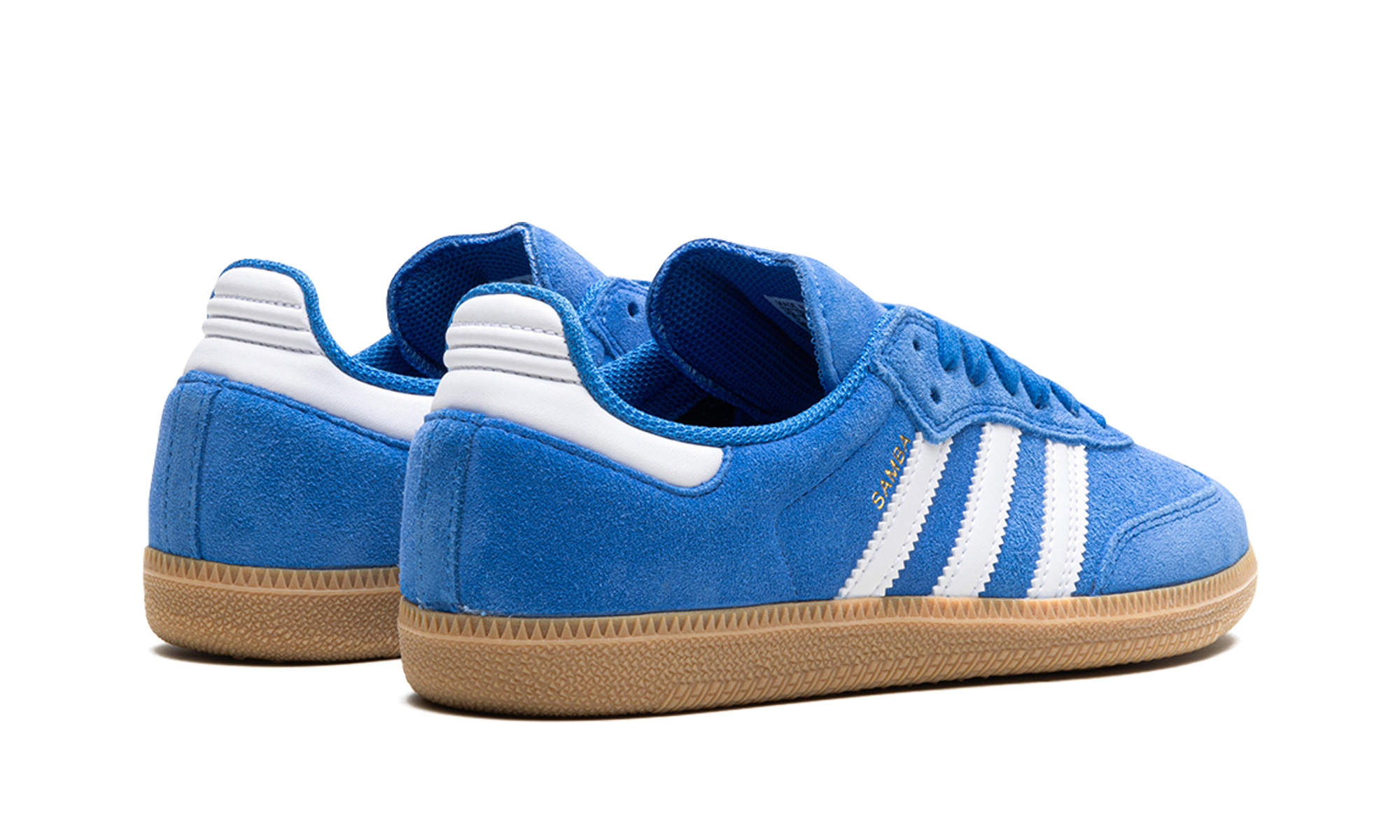 Samba ADV "Blue bird" JP5719