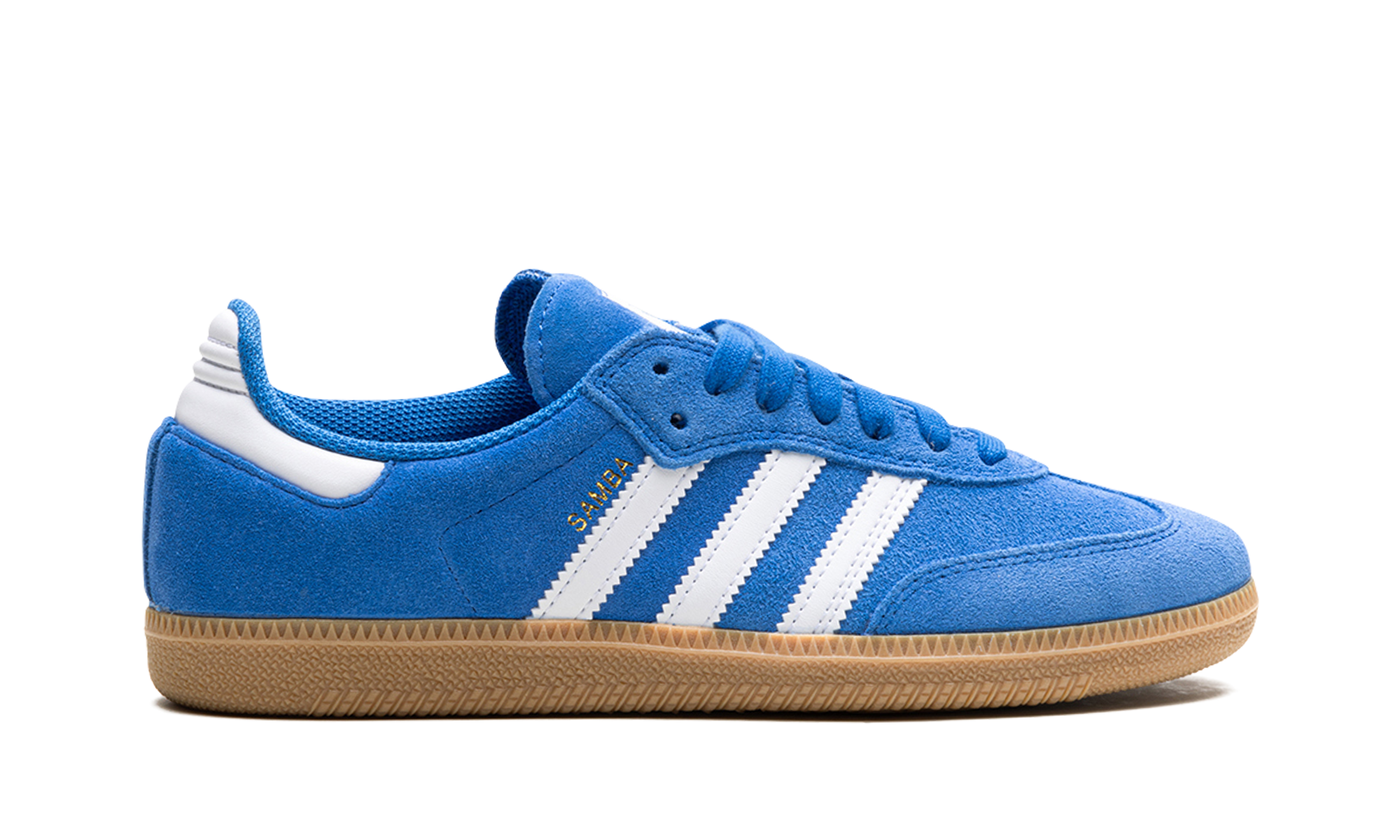 Samba ADV "Blue bird" JP5719