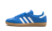 Samba ADV "Blue bird" JP5719