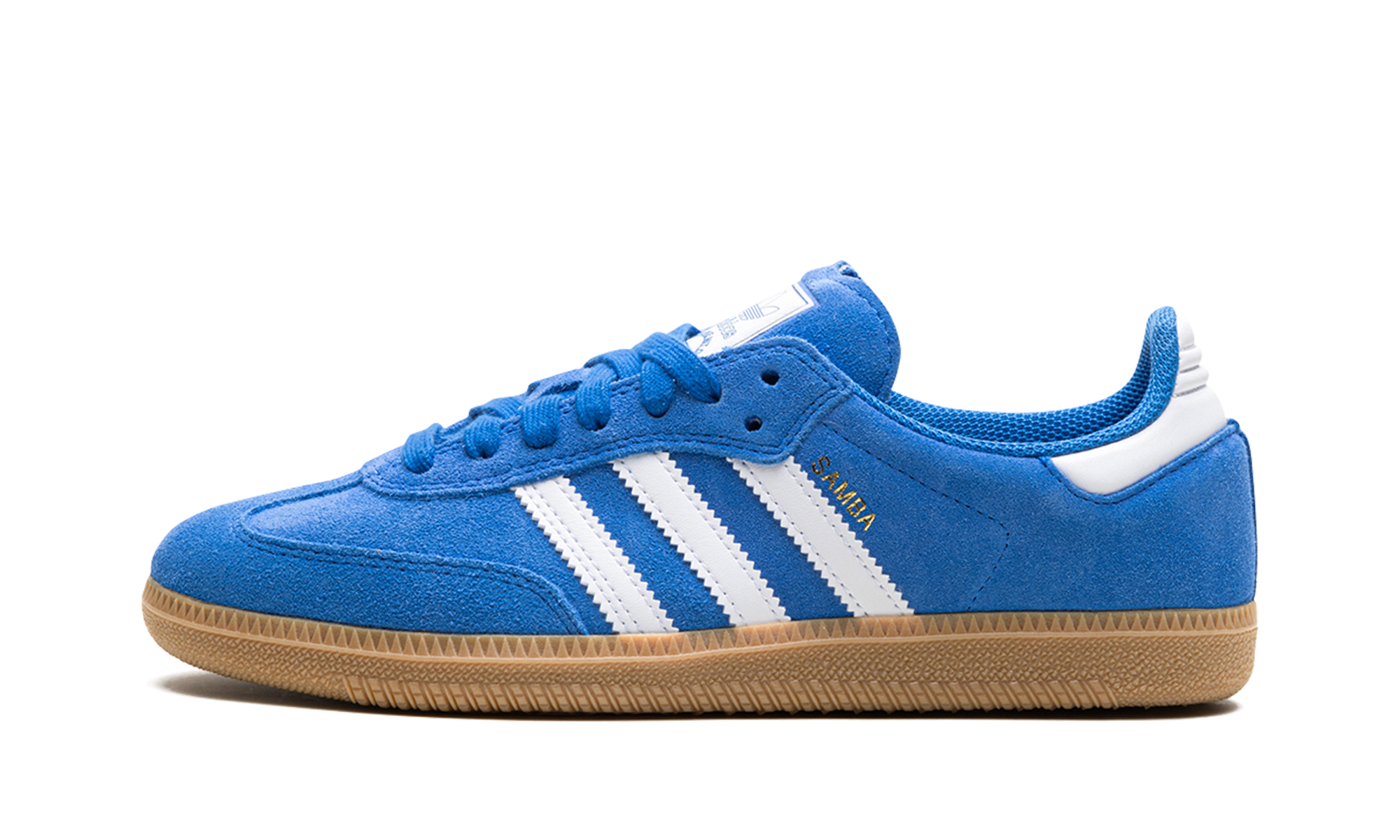 Samba ADV "Blue bird" JP5719