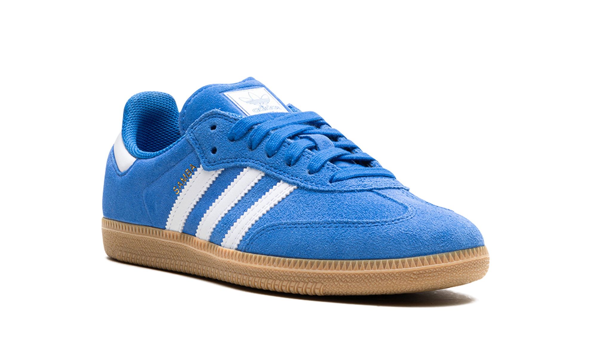 Samba ADV "Blue bird" JP5719