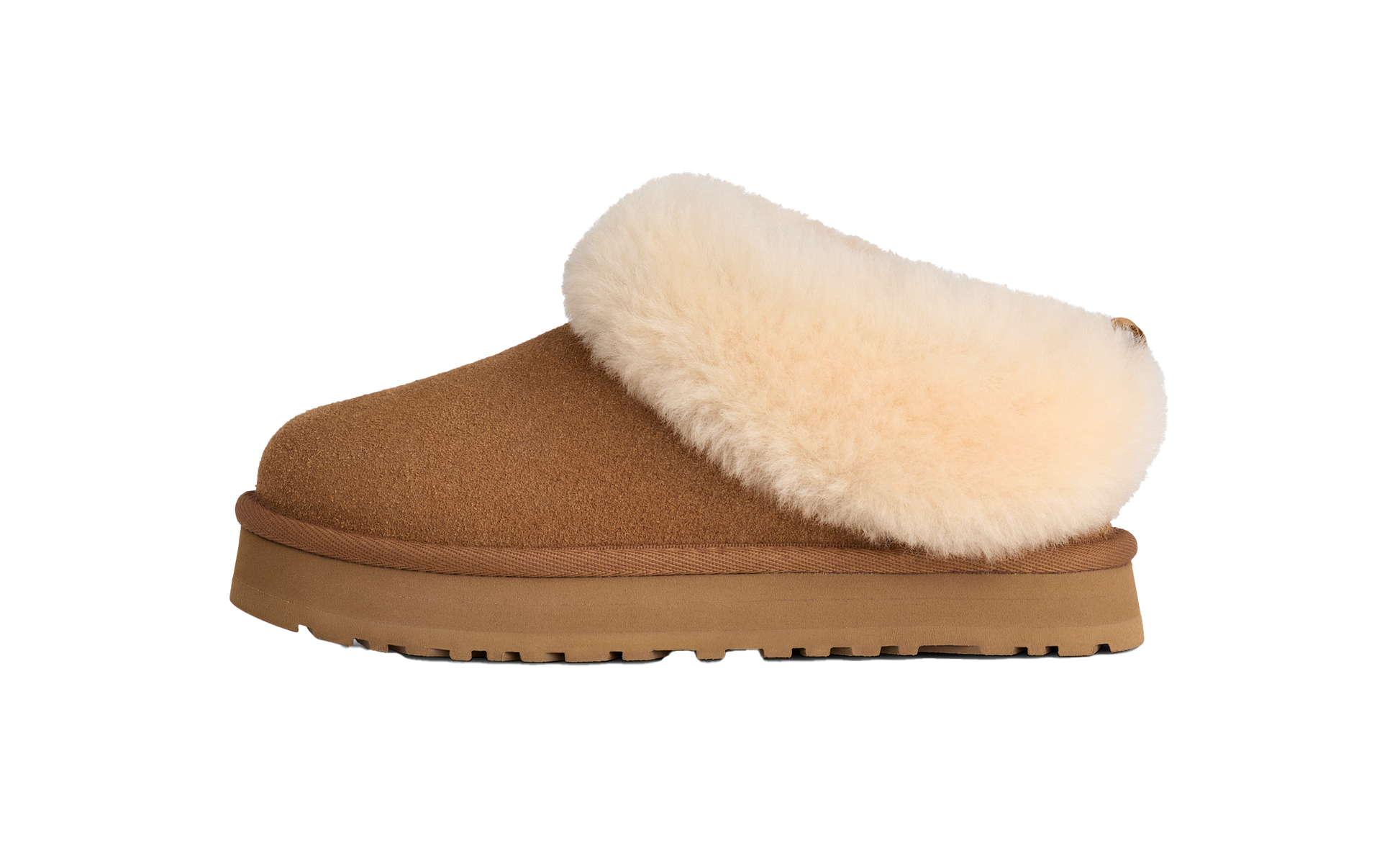 Tazzelle GS "Chestnut"