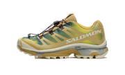 Xt 4 OG "Aurora borealis" L47442300