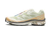 Xt-6 "Aloe wash" L47293700