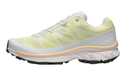 Xt-6 "Alpen blossom ice flow" L47971300