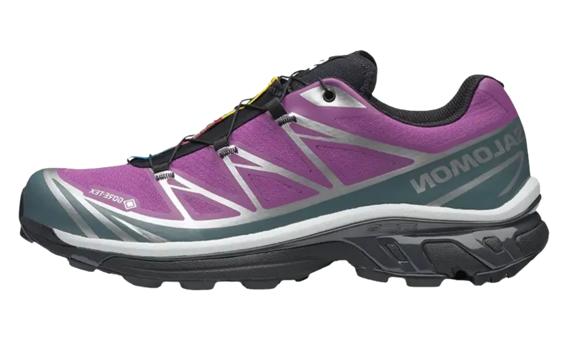 Xt-6 Gore-Tex "Concord grape stormy weather" L47990100