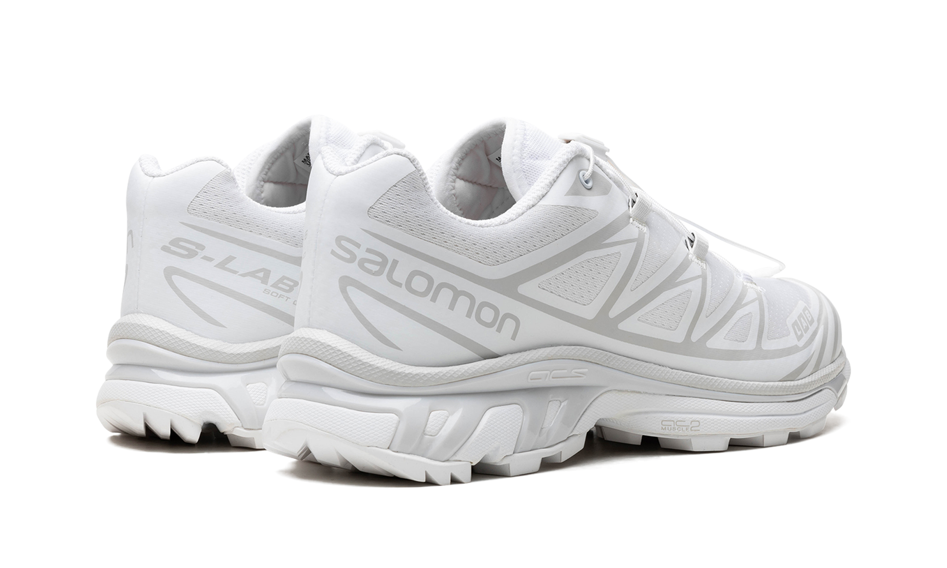Xt-6 "Lunar rock" L41252900