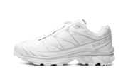 Xt-6 "Lunar rock" L41252900