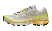 Xt-6 "Vanilla ice yellow iris warm apricot" L47864500