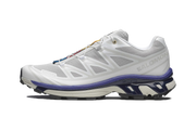Xt-6 "White lunar rock" L47820300